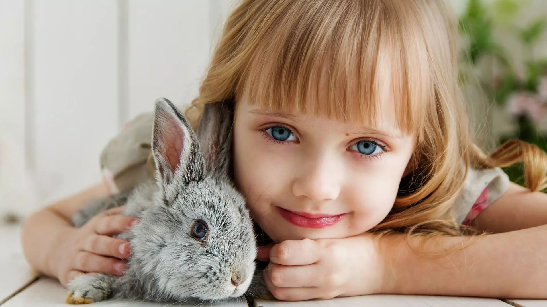 Tavşanın özellikleri Nelerdir? Nasıl beslenir?