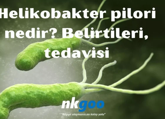 Helikobakter pilori nedir