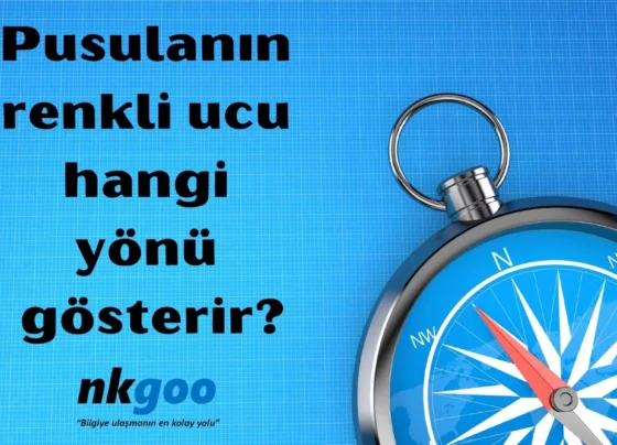 Pusulanin renkli ucu hangi yonu gosterir