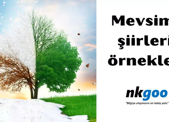 mevsim siirleri