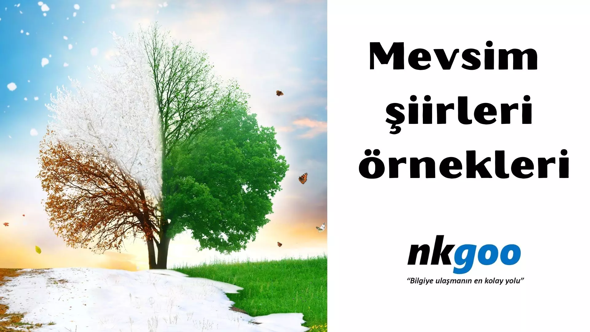 Mevsim şiirleri örnekleri, mevsim ile ilgili şiirler