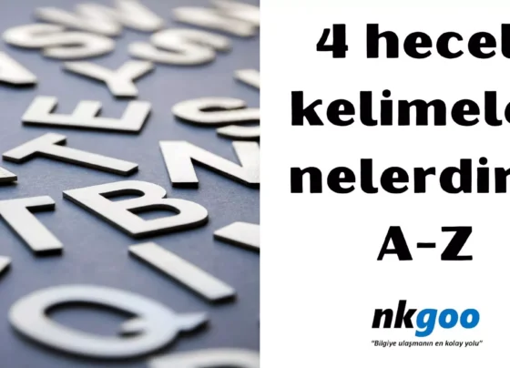 4 heceli kelimeler