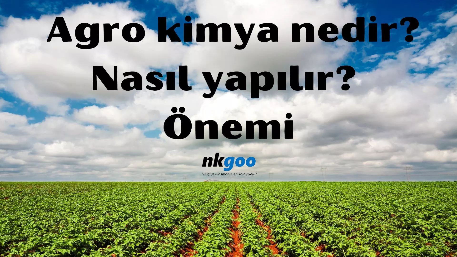 Agrokimya nedir? Nasıl yapılır? Tanımı ve önemi