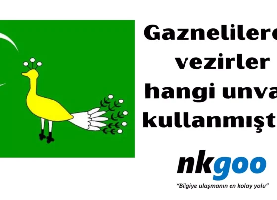 Gaznelilerde vezirler hangi unvani kullanmistir