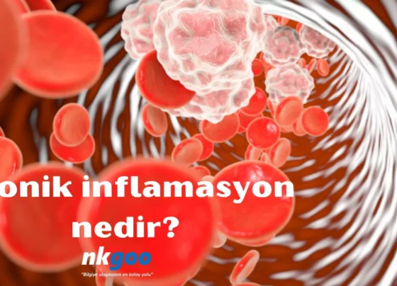 Kronik inflamasyon nedir