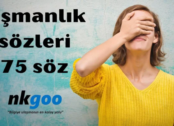 Pismanlik sozleri