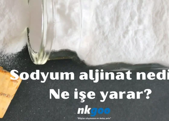 Sodyum aljinat nedir