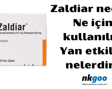 Zaldiar nedir