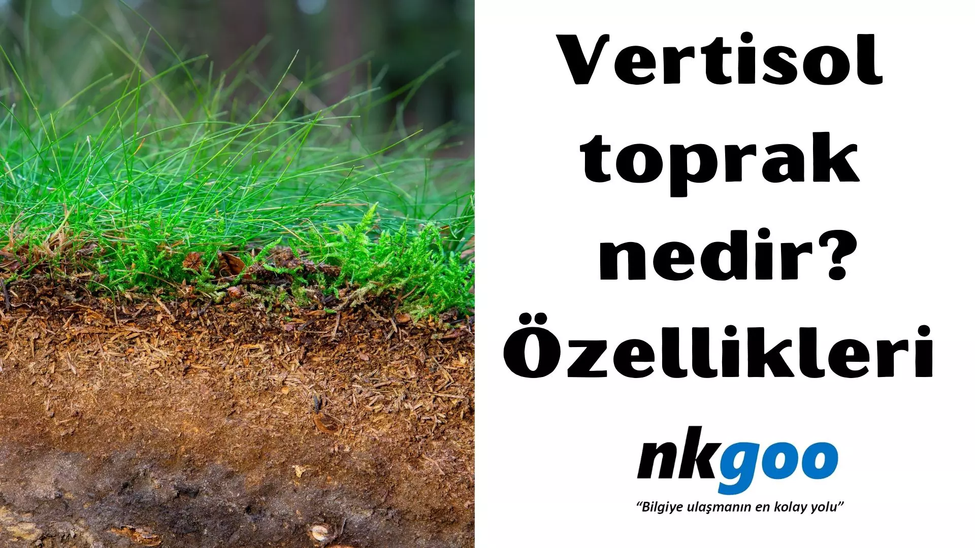 Vertisol toprak nedir? Özellikleri nelerdir?