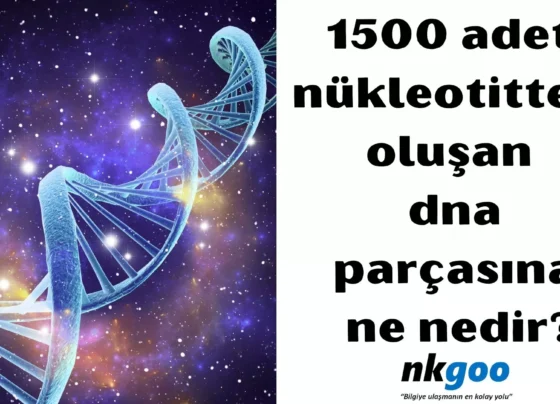 1500 adet nukleotitten olusan dna parcasi