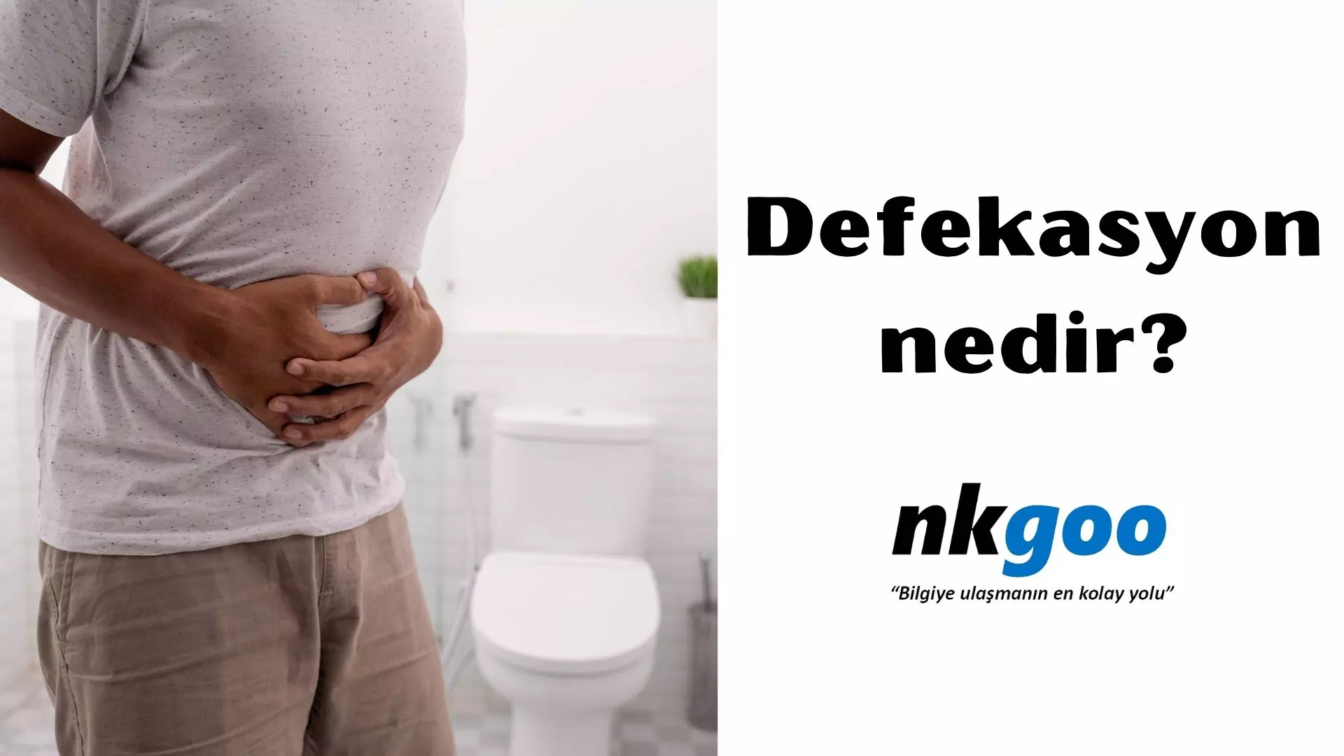 Defekasyon nedir? (Dışkılama nedir?), Fizyolojisi