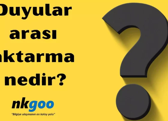 Duyular arasi aktarma nedir