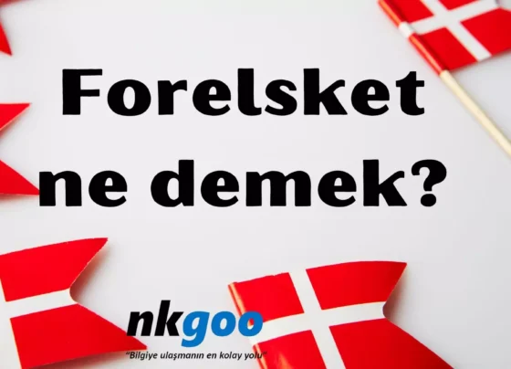 Forelsket ne demek