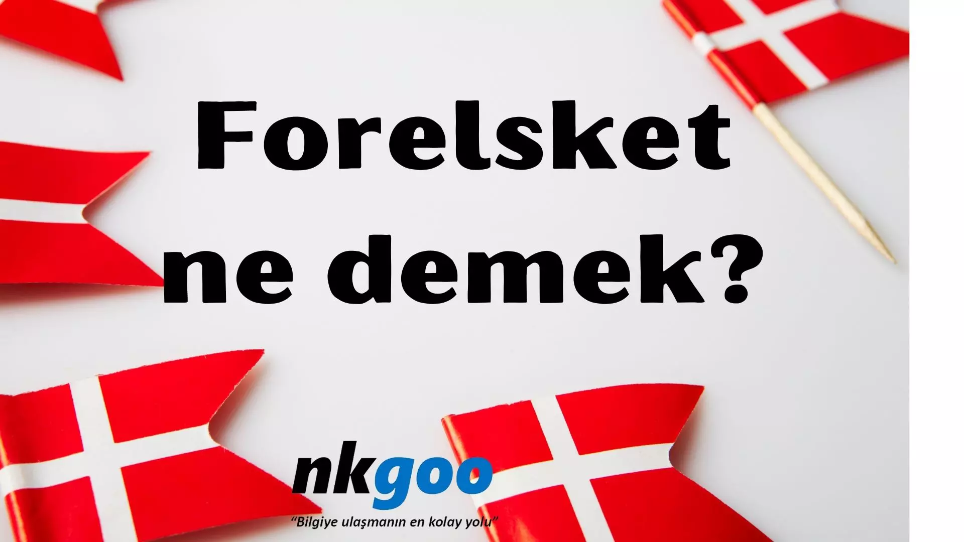 Forelsket ne demek? Anlamı nedir?