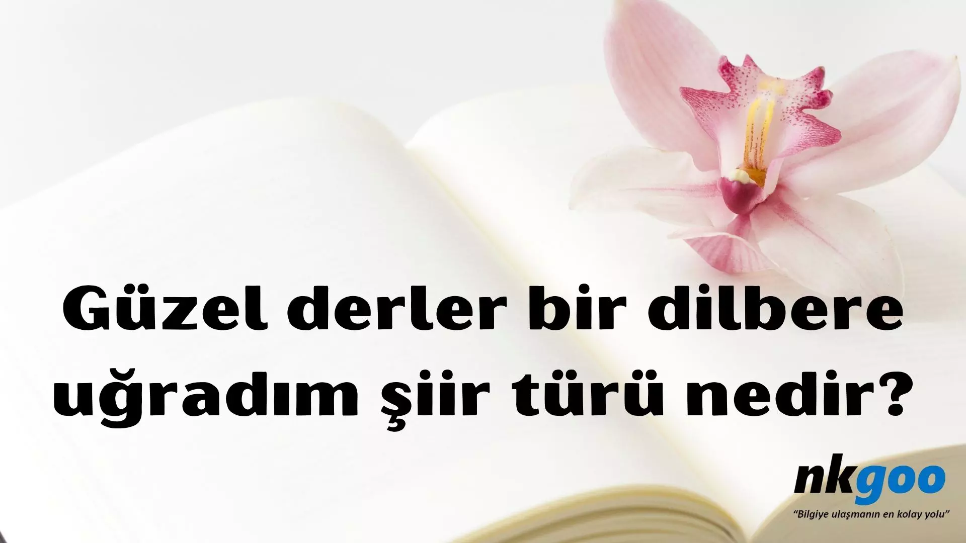 Güzel derler bir dilbere uğradım şiir türü nedir?