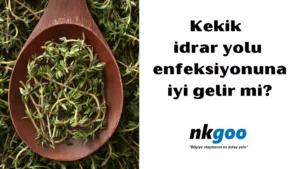 Kekik idrar yolu enfeksiyonuna iyi gelirmi 