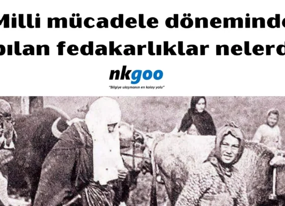 Milli mucadele doneminde yapilan fedakarliklar