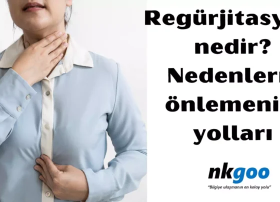 Regurjitasyon nedir