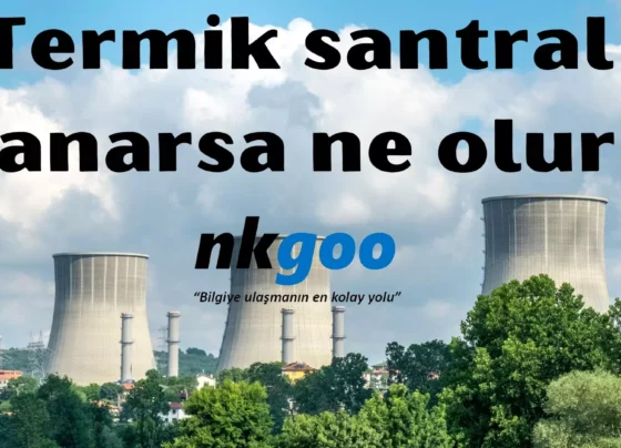 Termik santral yanarsa ne olur