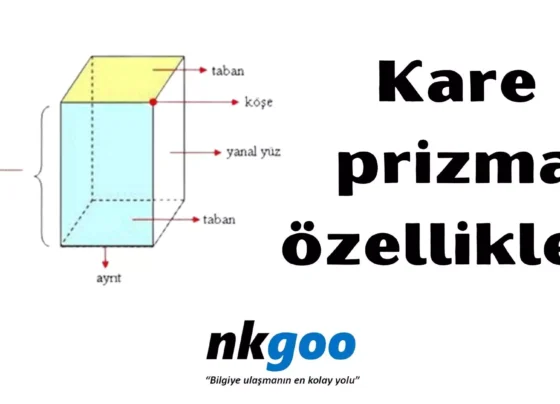 kare prizmanin ozellikleri