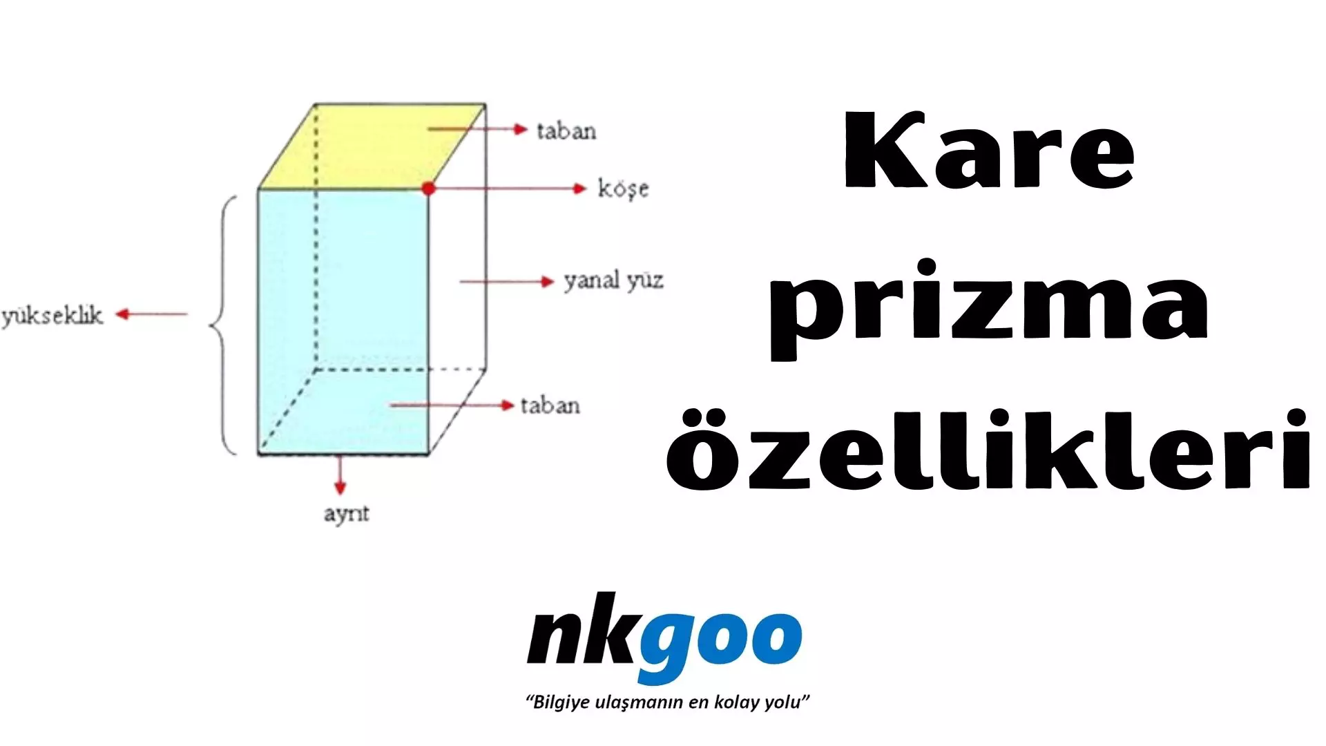 Dikdörtgen prizmanın özellikleri nelerdir?