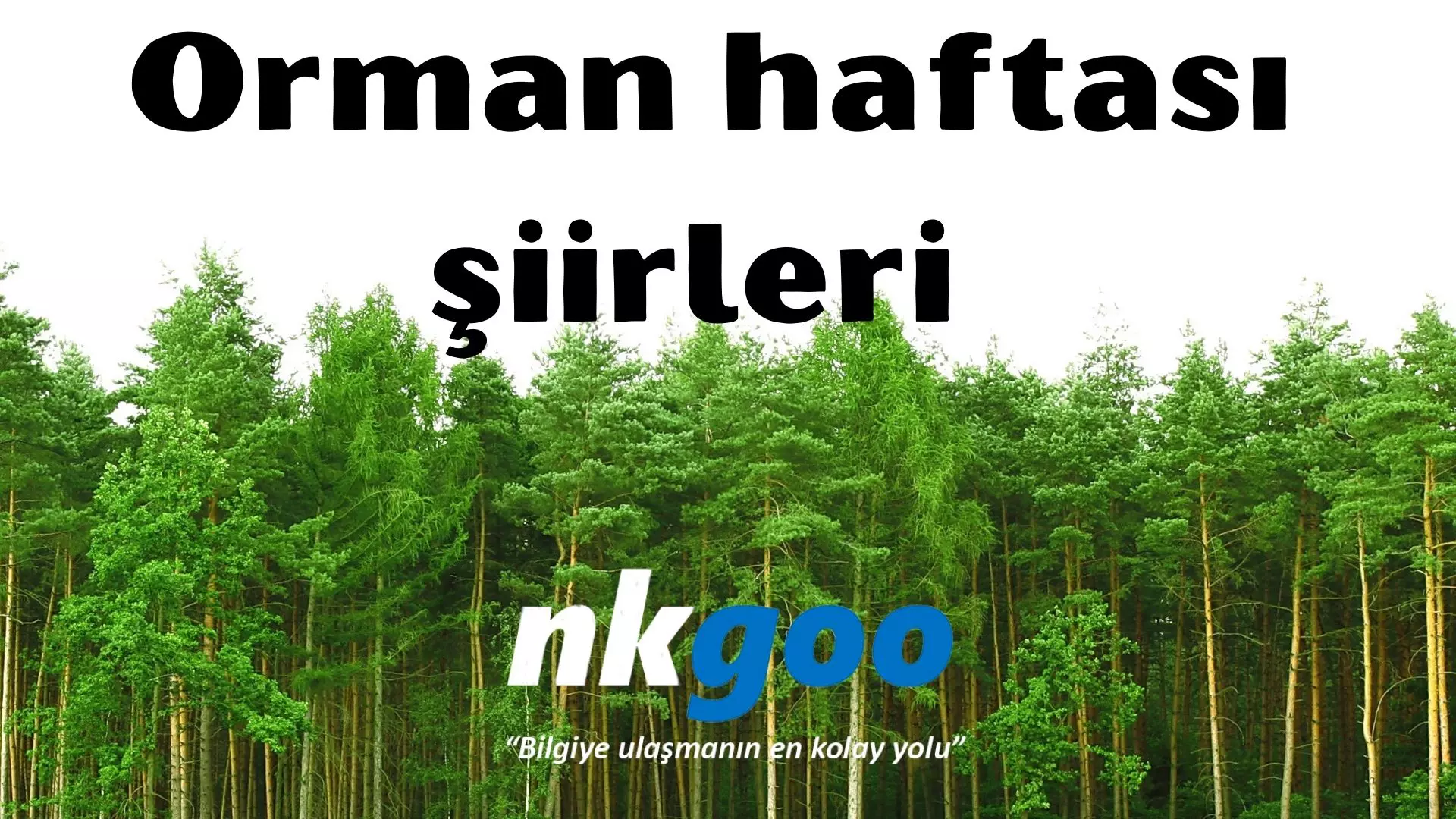 Orman haftası şiirleri kısa ve uzun, 30 şiir