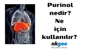 purinol nedir 