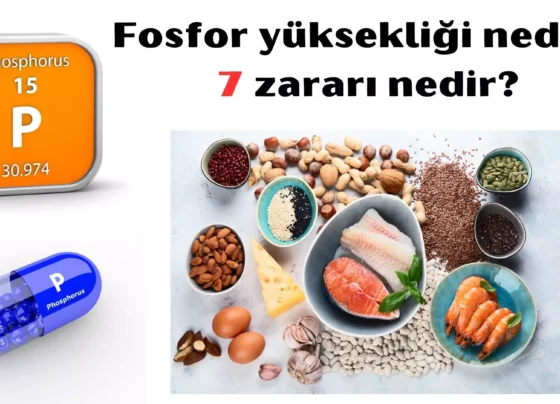 Fosfor yüksekliği