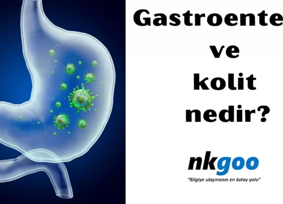 Gastroenterit ve kolit nedir