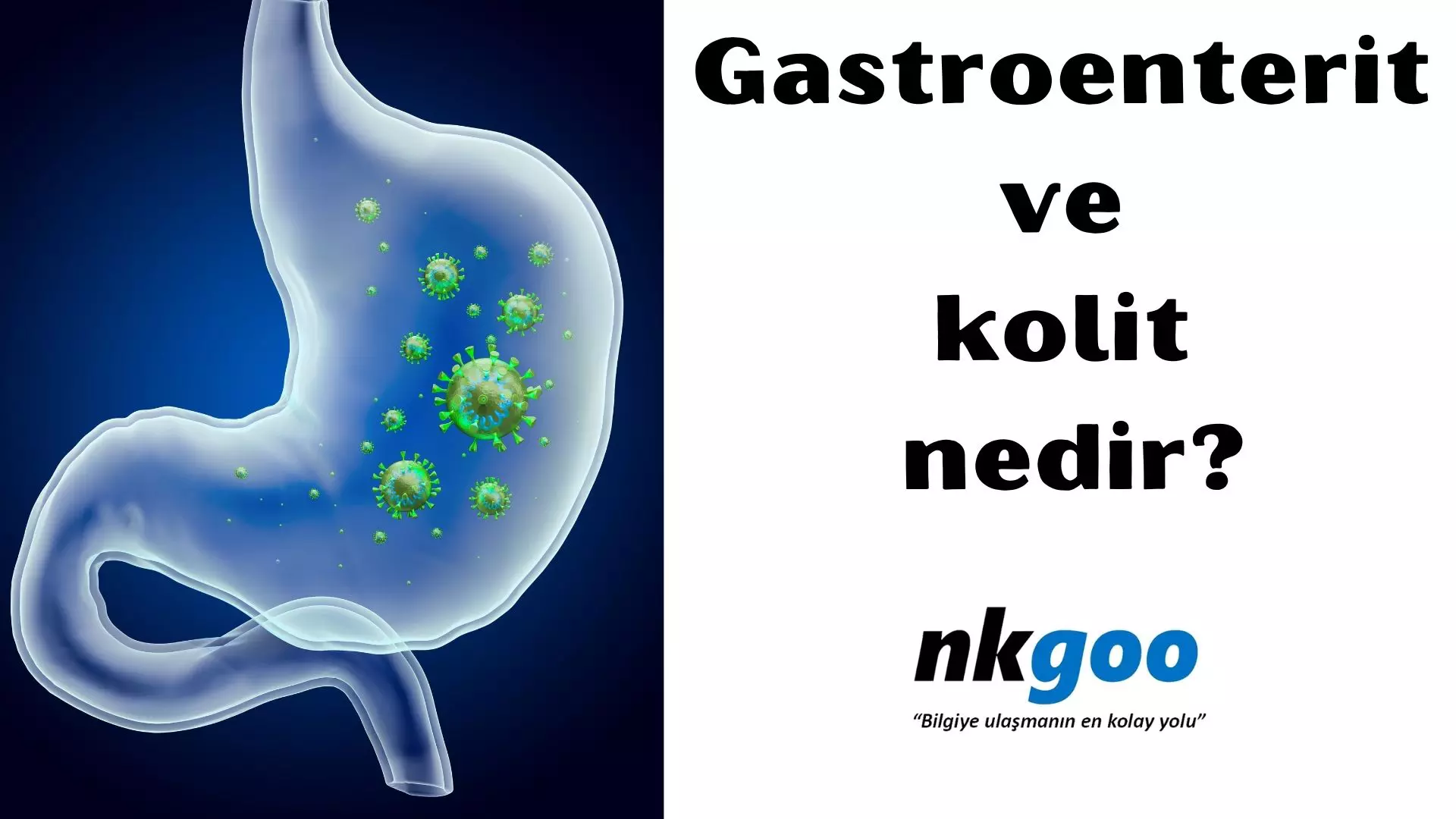 Gastroenterit ve kolit nedir? Belirtisi, nedeni