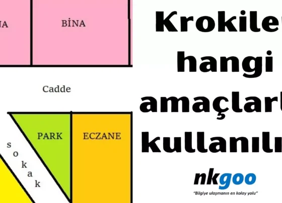 Krokiler hangi amaclarla kullanilir