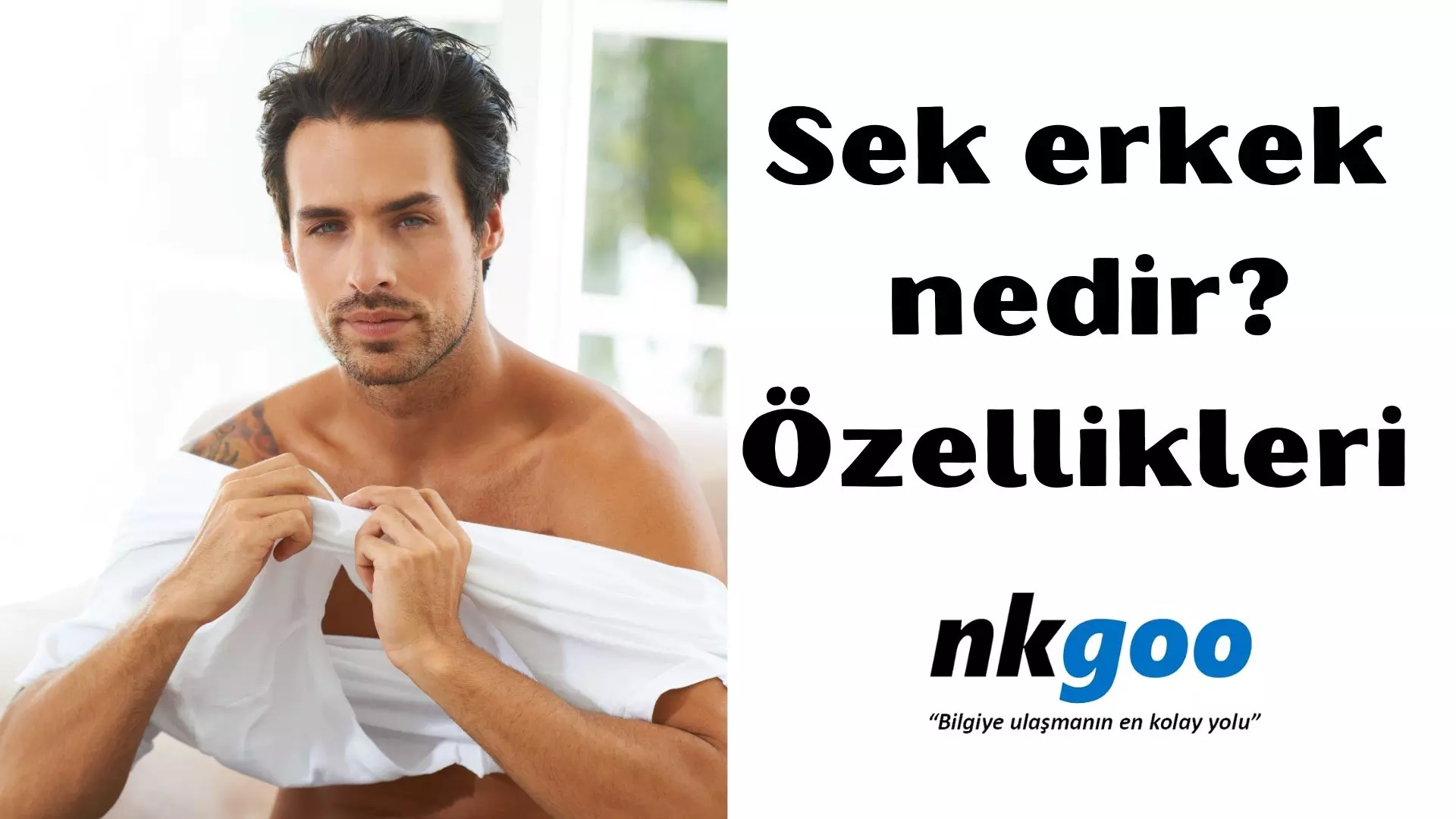 Sek erkek nedir? Ne anlama gelir? Özellikleri