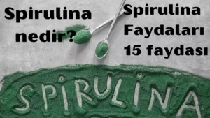 Spirulina nedir 