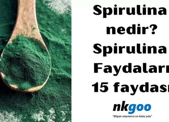 Spirulina nedir