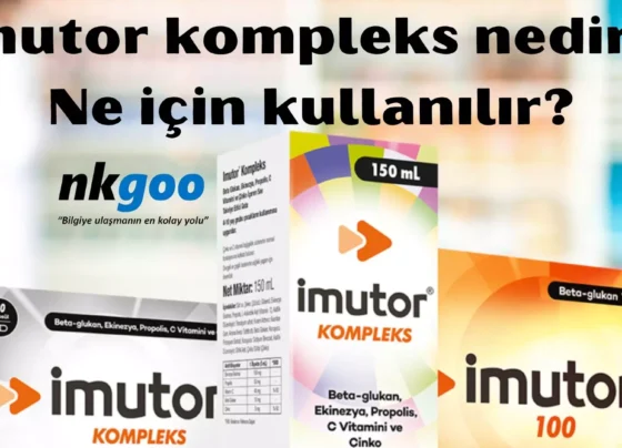 imutor kompleks