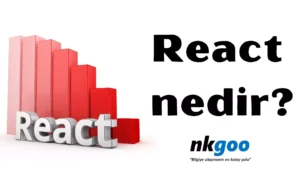 react nedir 