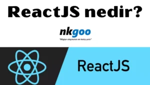 react nedir 