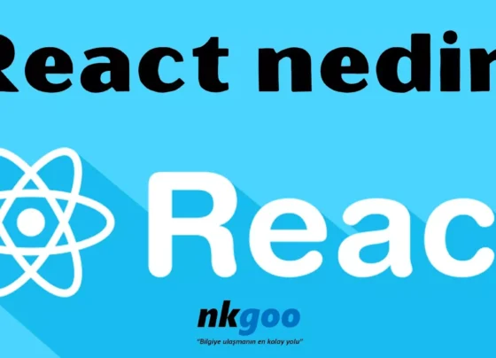 react nedir