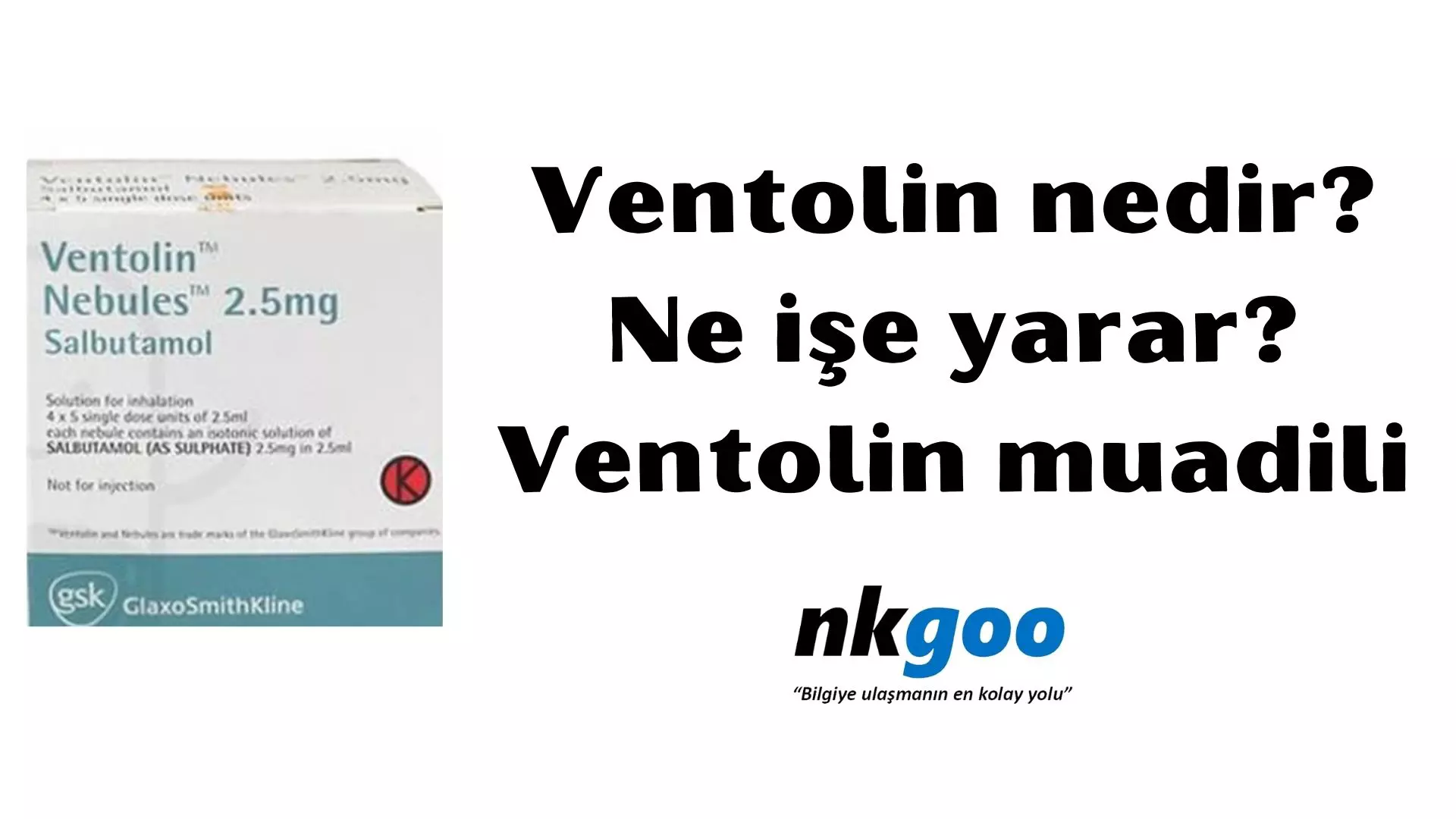 Ventolin nedir? Ne işe yarar? Ventolin muadili