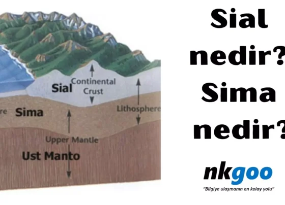 Sial nedir