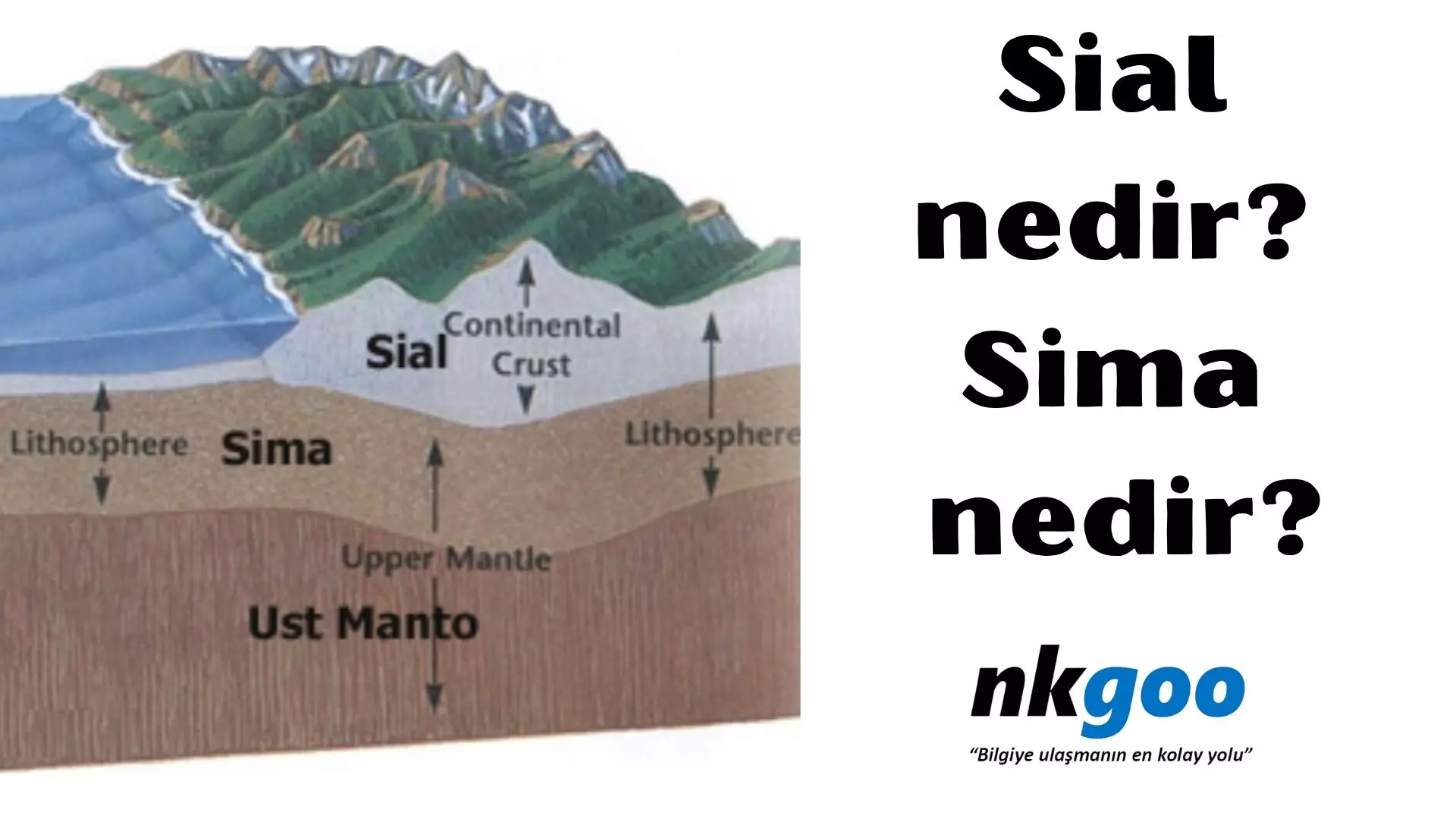 Sial nedir? Sima nedir? Özellikleri