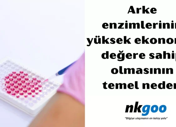 Arke enzimlerinin yüksek ekonomik değere sahip olmasının temel nedeni