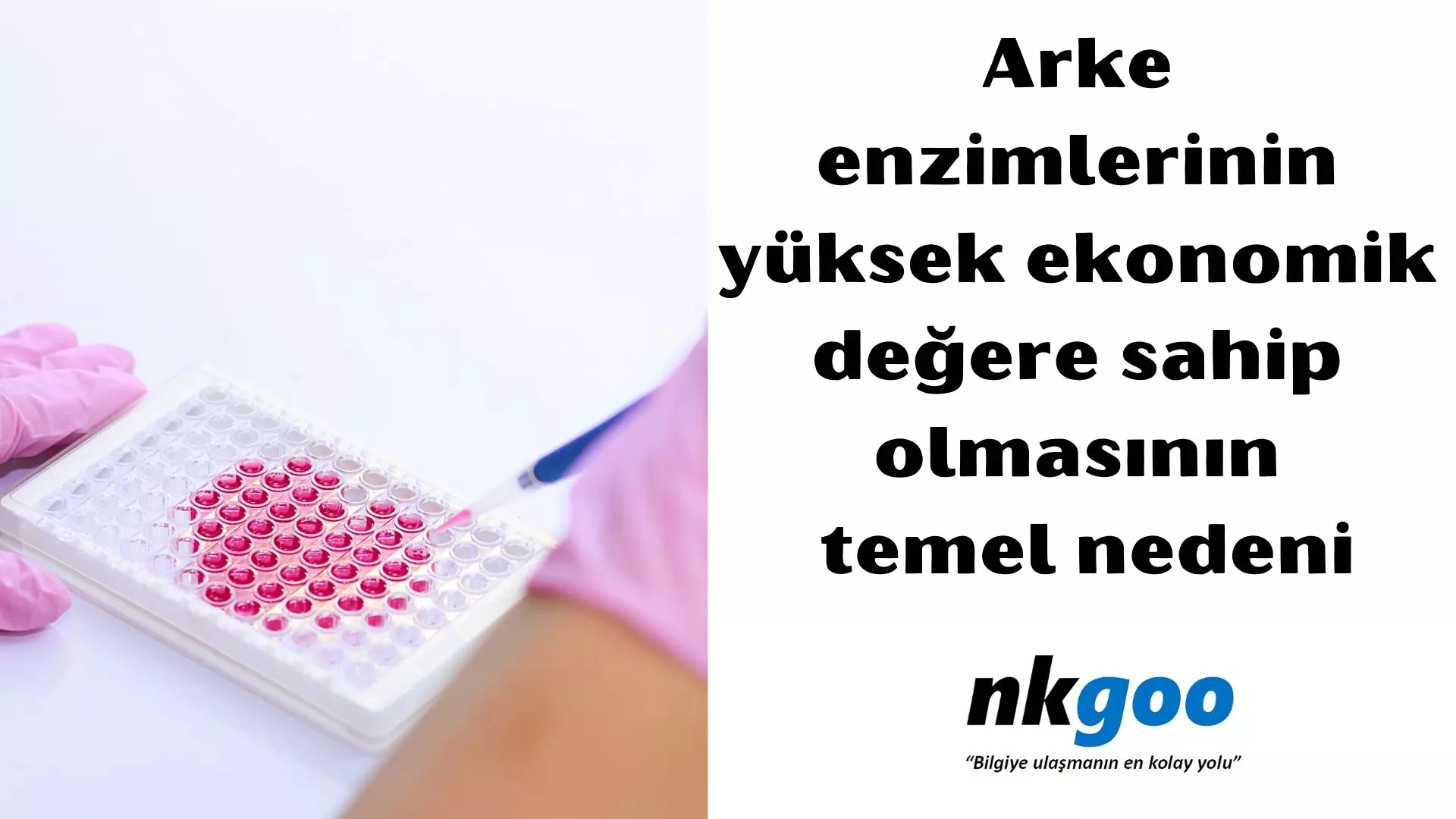 Arke enzimlerinin yüksek ekonomik değere sahip olmasının temel nedeni