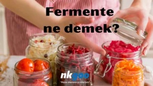 Fermente ne demek 