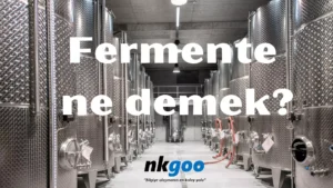 Fermente ne demek 