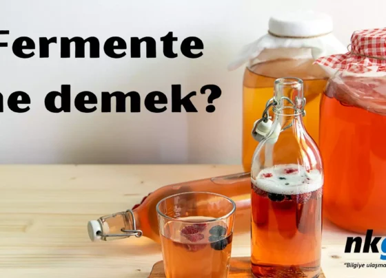 Fermente ne demek