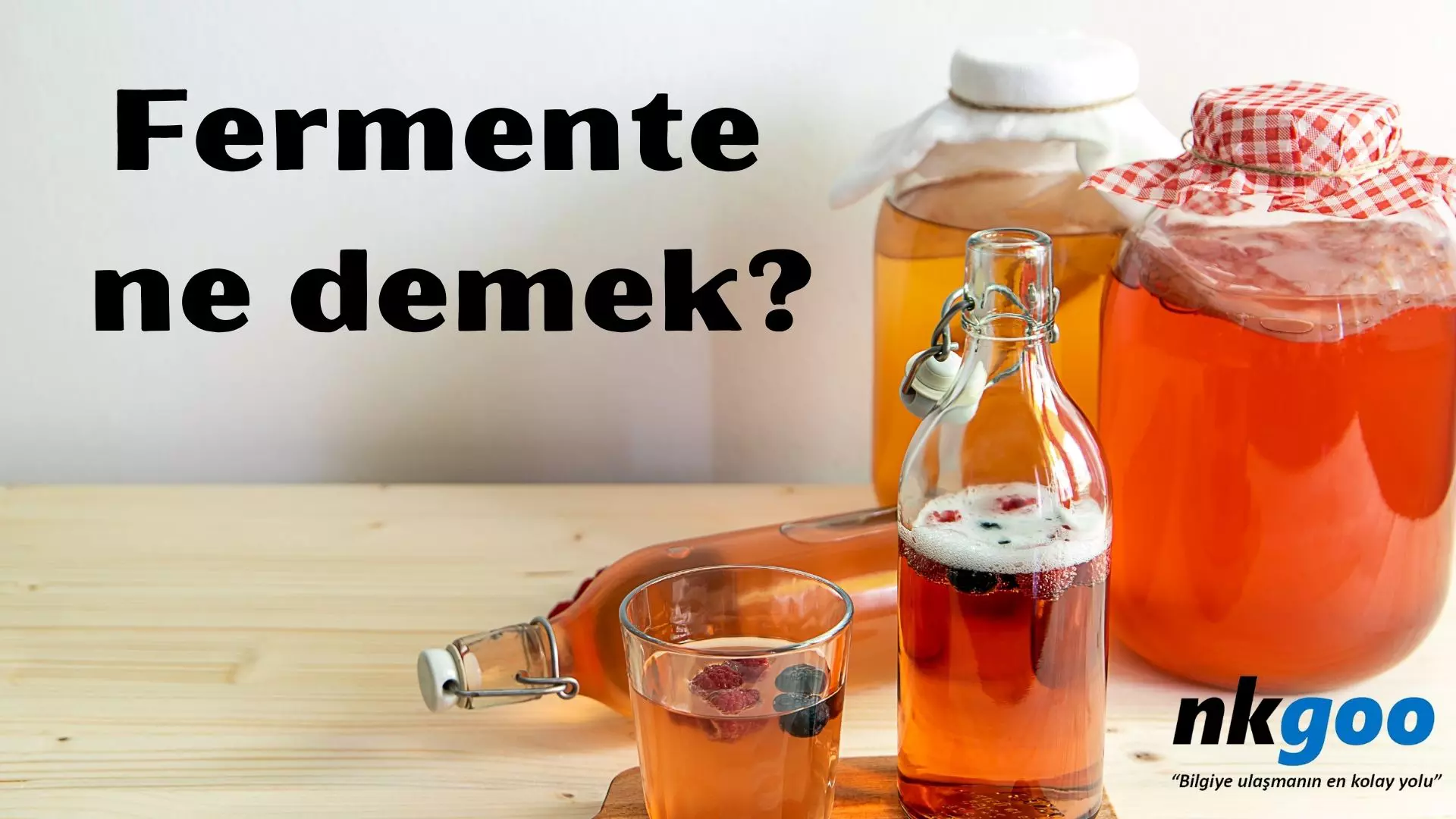 Fermente ne demek? Fermente nedir?