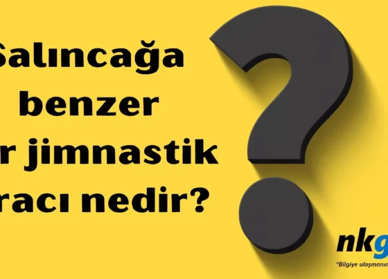 Salıncağa benzer bir jimnastik aracı