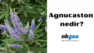 Agnucaston nedir 