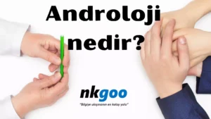 Androloji nedir 